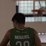Profile of Miguel Martins