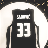 Profile of Vahid Sadović